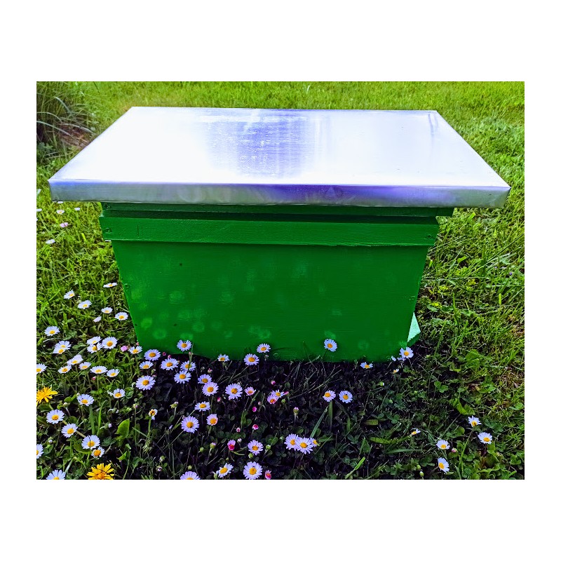 ul odkładowy wielkopolski