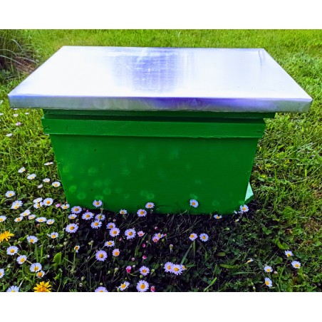 ul odkładowy wielkopolski