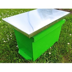 odkładówka wielkopolska