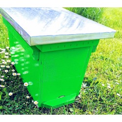 ul odkładowy wielkopolski